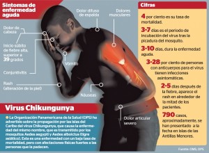 600x400_1391304741_Infografia-Chikungunya3